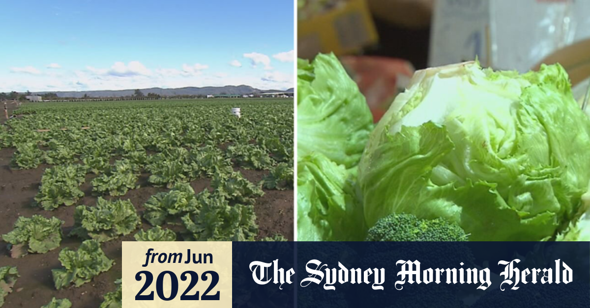 Video Australia facing vegetable shortage